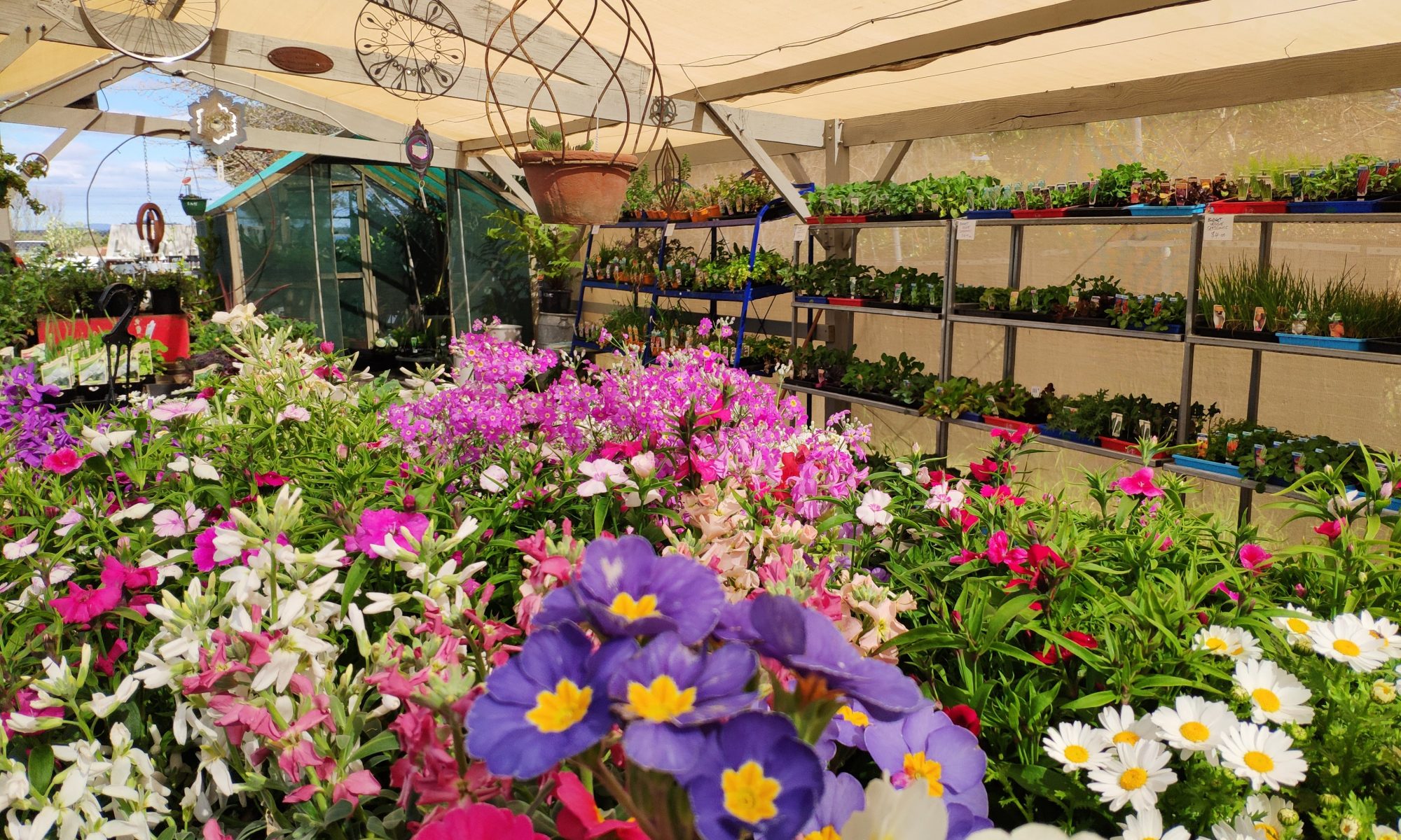 Home Sorell Nursery And Landscape Supplies Sorell Nursery And Landscape Supplies